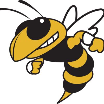 Hornet Wide Format - 12 x 12 Wall Decal Thumbnail